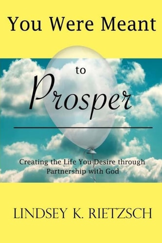 You Were Meant to Prosper Creating the Life You Desire Through Partnership with God