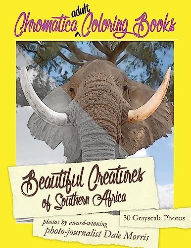 Beautiful Creatures of Southern Africa An Adult Coloring Book Featuring the Most Beautiful Creatures That Reside in Southern Africa