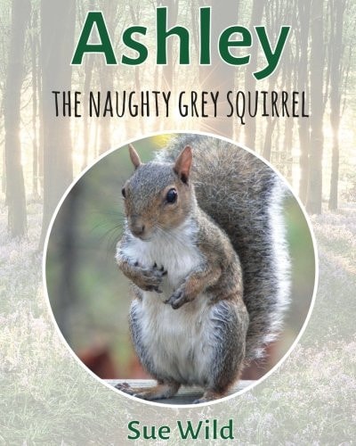 Ashley The Naughty Grey Squirrel