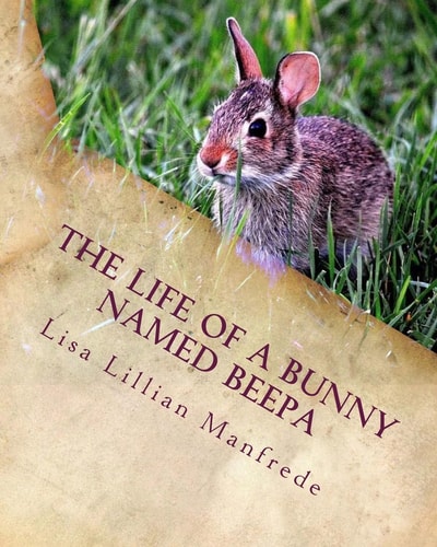 The Life of a Bunny Named Beepa