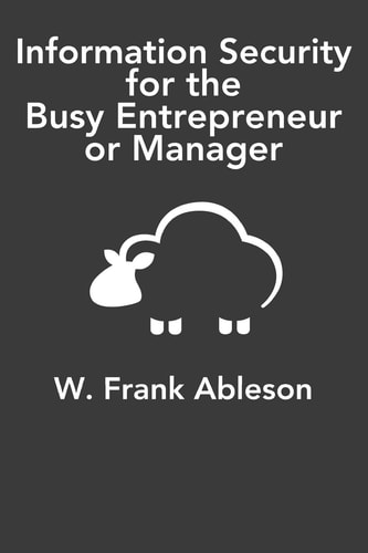 Information Security for the Busy Entrepreneur Or Manager What You Need to Know, Minus the Paranoia