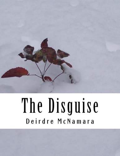 The Disguise