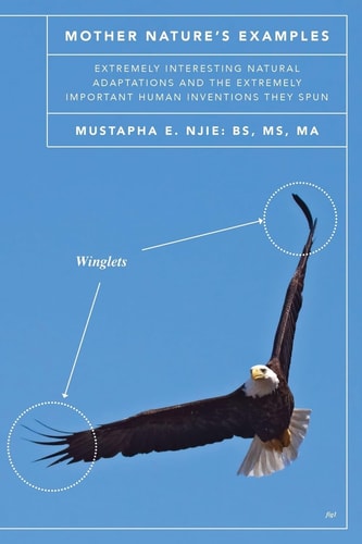 Mother Nature's Examples Extremely Interesting Natural Adaptations and the Extremely Important Human Inventions They Spun