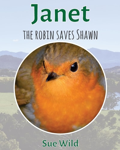 Janet The Robin Saves Shawn