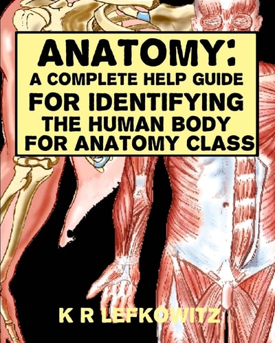 Anatomy A Complete Help Guide For Identifying The Human Body For Anatomy Class