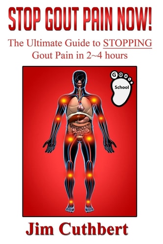 Stop Gout Pain Now! The Ultimate Guide Fro Stopping Gout Pain in 2 ~ 4 Hours