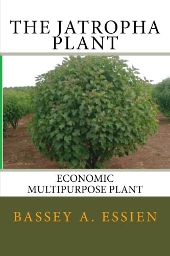 The Jatropha Plant