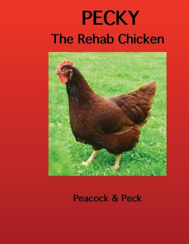 Pecky The Rehab Chicken