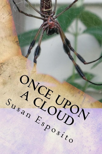 Once Upon a Cloud The Story of Litsy Longfeather
