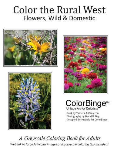 Color the Rural West - Flowers, Wild and Domestic A Greyscale Coloring Book for Adults