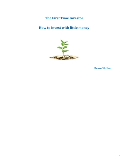 The First Time Investor: How to Invest with Little Money