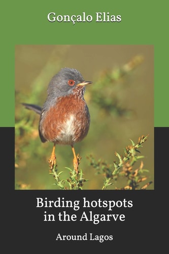 Birding Hotspots in the Algarve Around Lagos