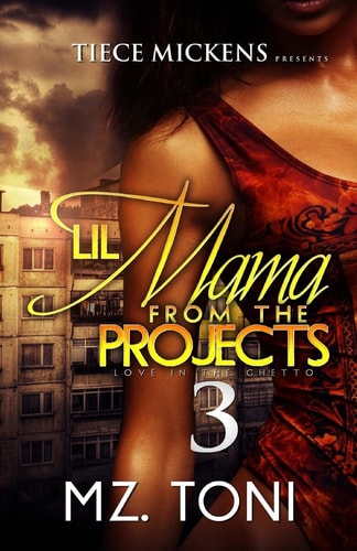 Lil Mama from the Projects 3