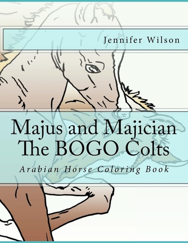 Majus and Majician Twin Colts Coloring Book Horse Coloring Fun