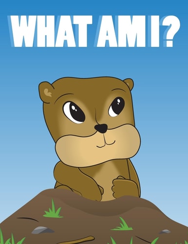 What Am I?