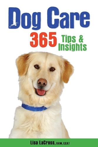 Dog Care 365 Tips and Insights