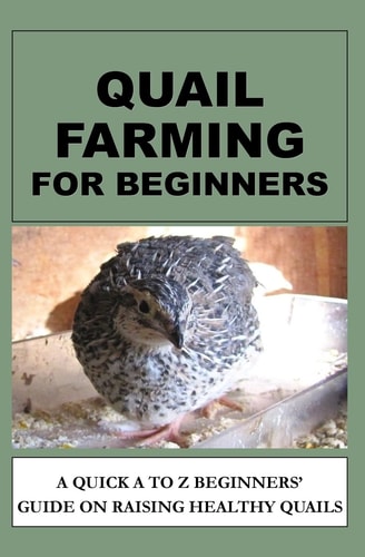 Quail Farming For Beginners A Quick A To Z Beginners' Guide On Raising Healthy Quails