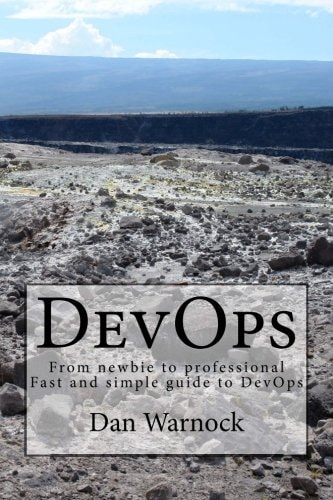 DevOps From Newbie to Professional. Fast and Simple Guide to DevOps