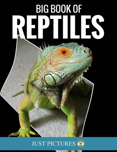 Big Book of Reptiles Just Pictures!