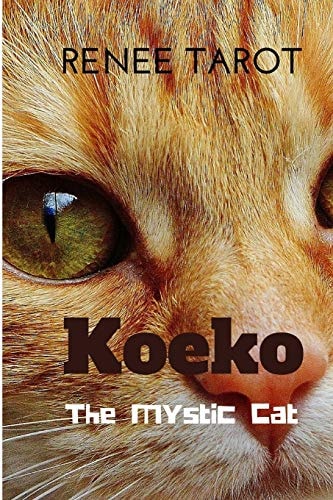Koeko The Mystic Cat