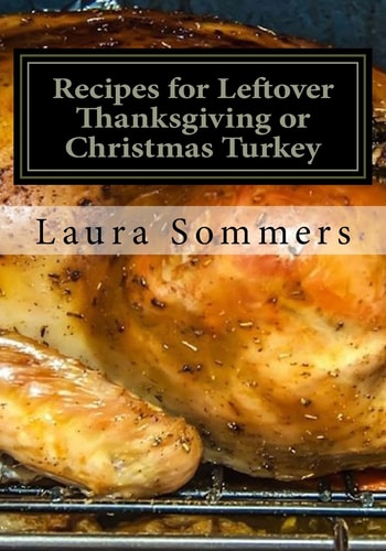 Recipes for Leftover Thanksgiving Or Christmas Turkey What the Heck Am I Going to Cook with All This Turkey!?!