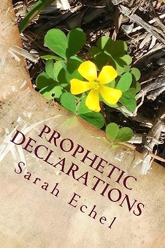 Prophetic Declarations Heaven Released Through the Power Of Your Words