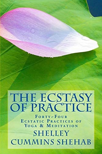 The Ecstasy of Practice Forty-Four Ecstatic Yoga Practices