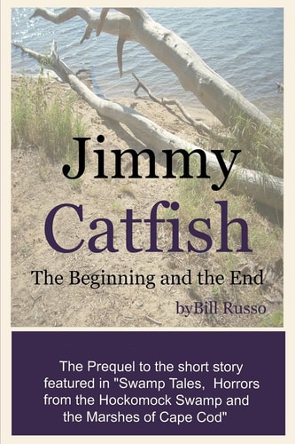 Jimmy Catfish The Beginning and The End