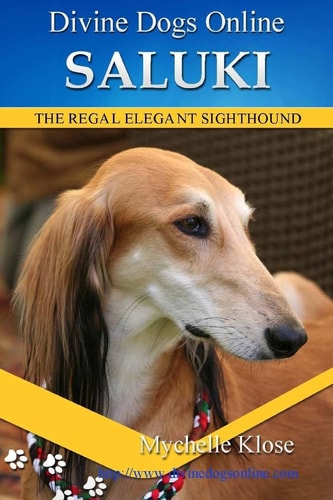 Saluki