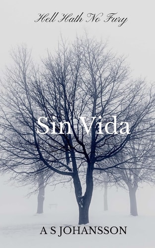 Hell Hath No Fury Sin Vida