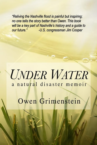 Under Water A Natural Disaster Memoir