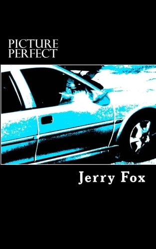 Picture Perfect: Revised Edition A Novel