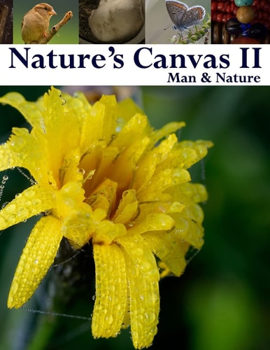 Nature's Canvas II : Man and Nature A Collection of Photography of the Natural and Man Made World to Enjoy and Relax With. a Great Coffee Table Book of Interesting and Unique Photography to Share with Your Loved Ones Or Just Curl Up by the Window and Rela