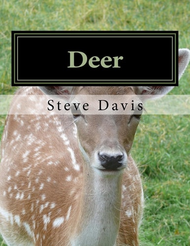 Deer Adult Coloring Book