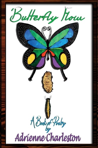 Butterfly Flow A Book of Poetry