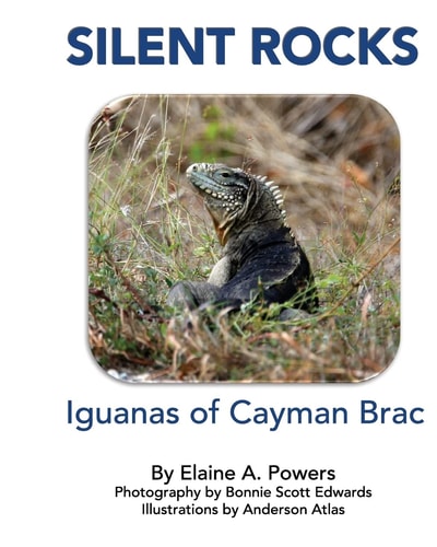 Silent Rocks Iguanas of Cayman Brac