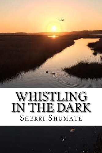 Whistling in the Dark A Journey from Hope to Joy