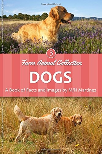 Dogs