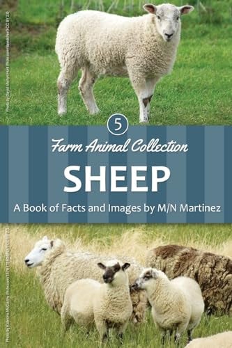 Sheep