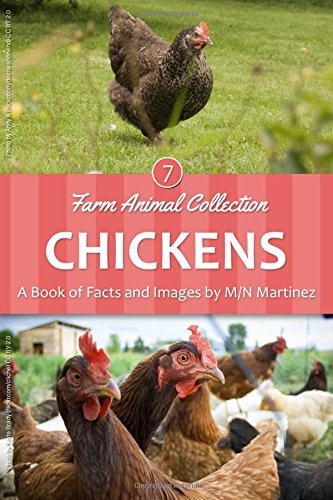 Chickens