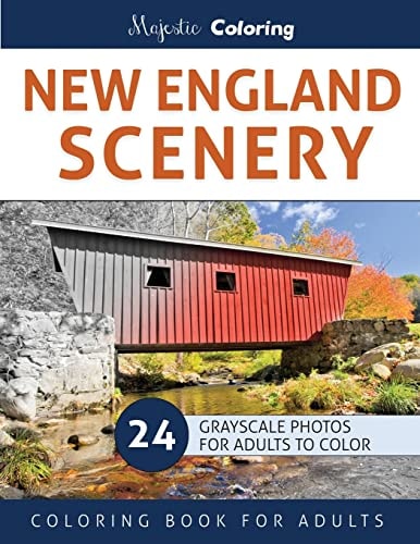 New England Scenery Grayscale Photo Coloring for Adults