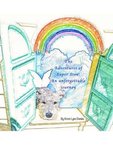 The Adventures of Super Stew An Unforgettable Journey