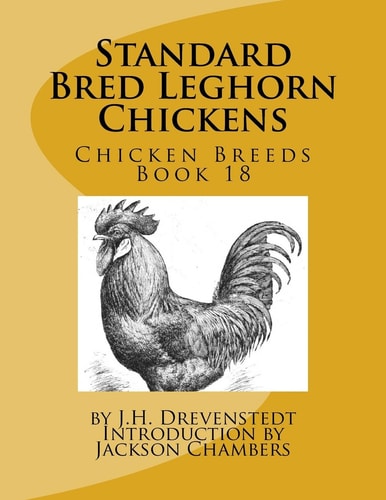 Standard Bred Leghorn Chickens Chicken Breeds Book 18