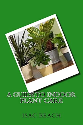 A Guide to Indoor Plant Care