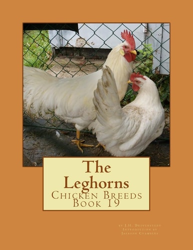 The Leghorns Chicken Breeds Book 19