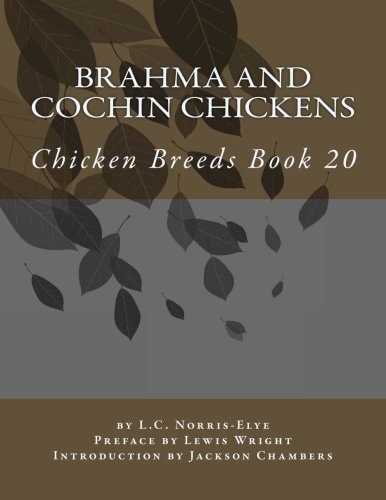 Brahma and Cochin Chickens Chicken Breeds Book 20