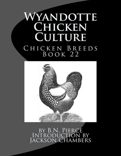 Wyandotte Chicken Culture Chicken Breeds Book 22