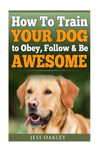 How to Train Your Dog to Obey, Follow and Be Awesome