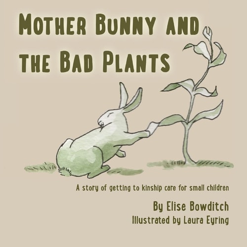 Mother Bunny and the Bad Plants A Story of Kinship Care for Small Children