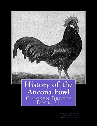 History of the Ancona Fowl Chicken Breeds Book 31